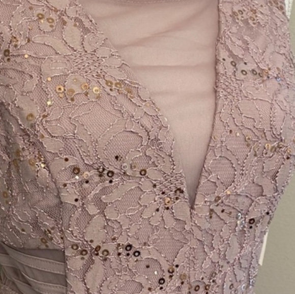 NWT Alexa B Nites Full Length Sequined Lace Dress in Blush Pink - Picture 6 of 9